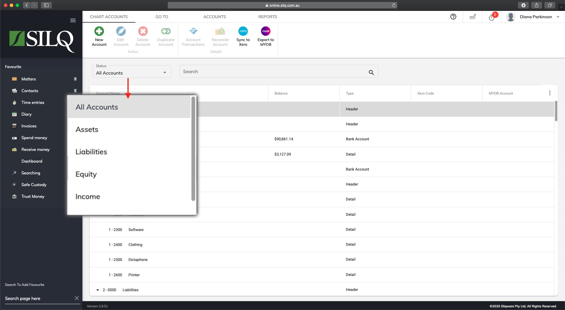 Chart of Accounts Display Options